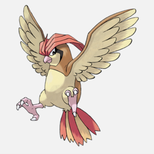 Pidgeotto